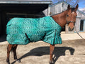"Peacock" Medium Weight Turnout Blanket (USA SHIPPING ONLY)