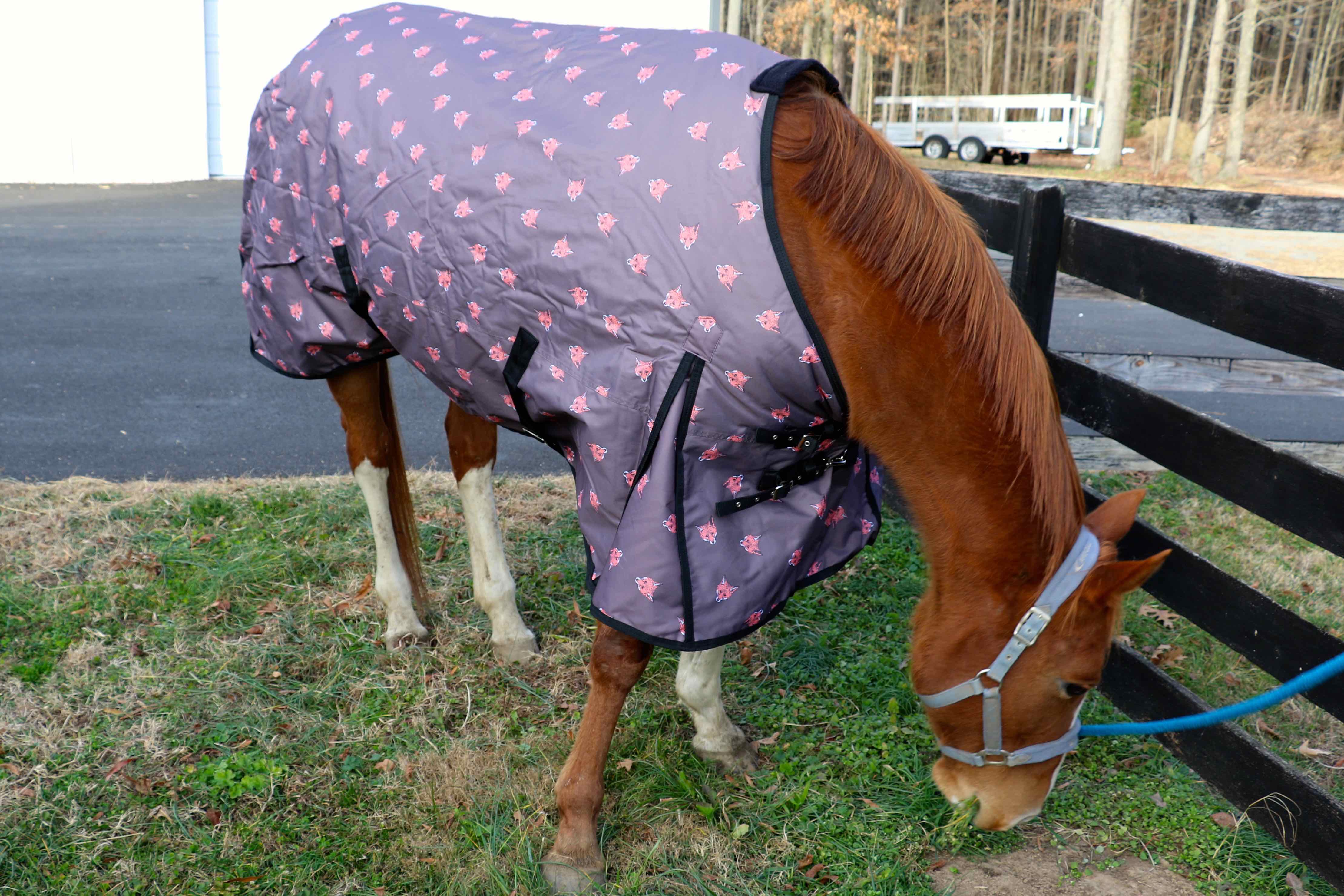 Blanket with online horse picture